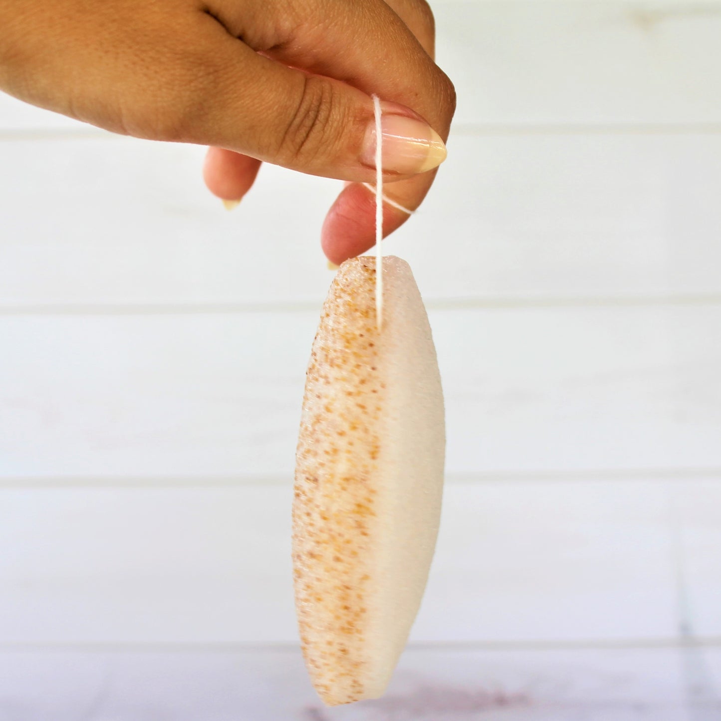 Esponja konjac cara